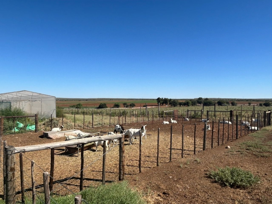 4 Bedroom Property for Sale in Upington Rural Northern Cape